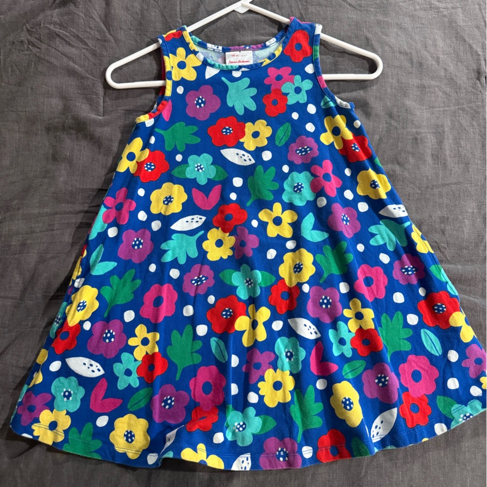 Hanna Andersson Multicolor Floral Dress